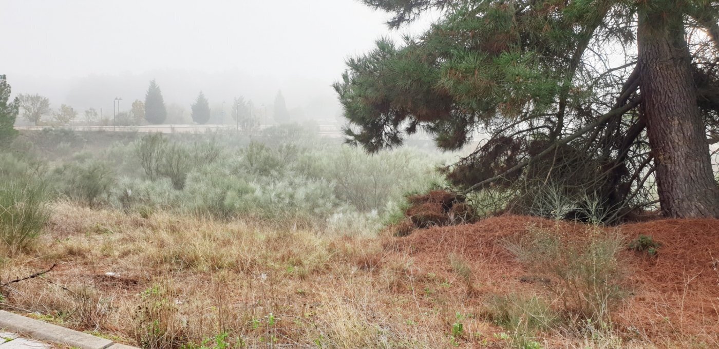 Land in Boecillo, Valladolid for sale Primary Photo- Image 1 of 21