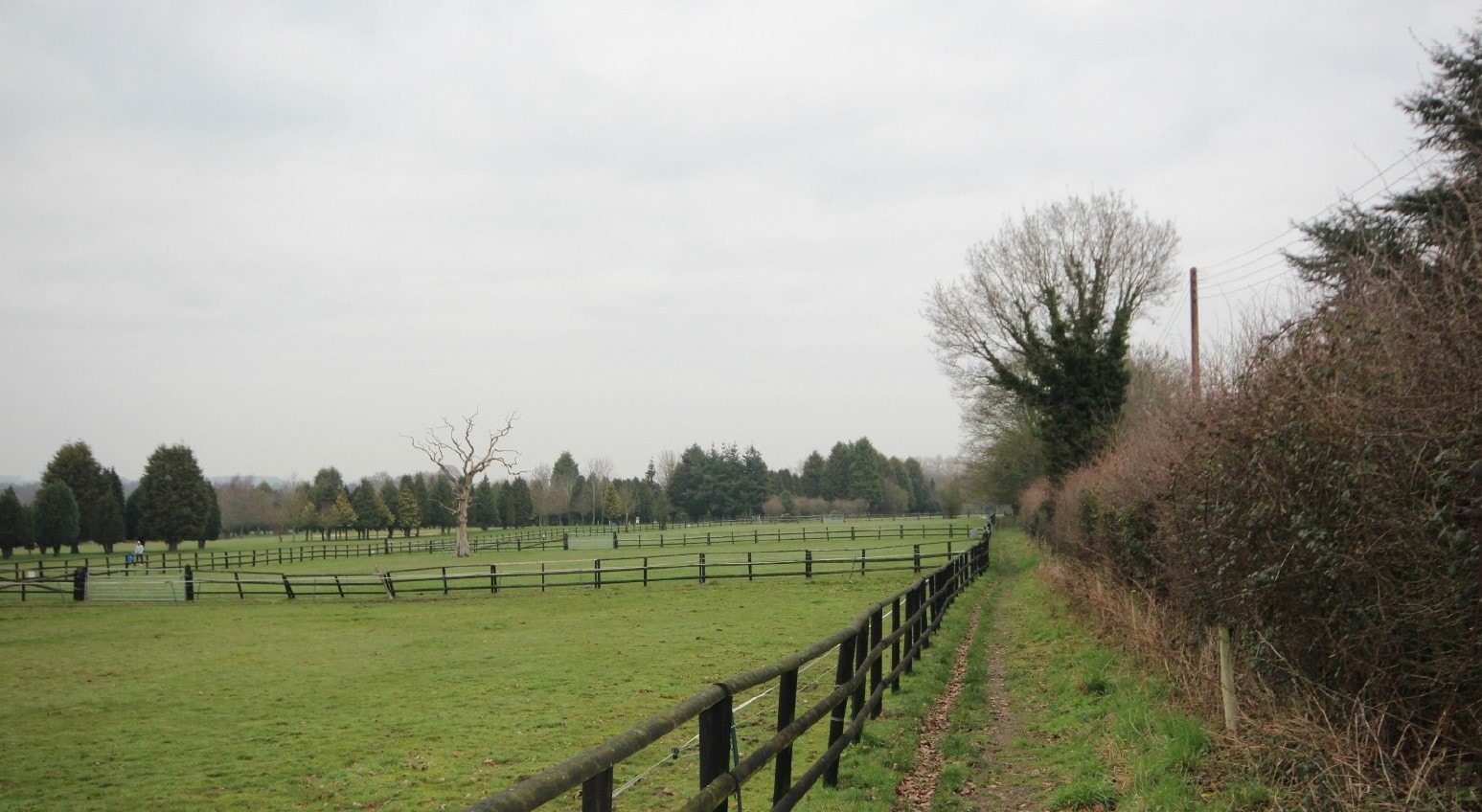 Coppice Ln, Wolverhampton for sale Primary Photo- Image 1 of 1