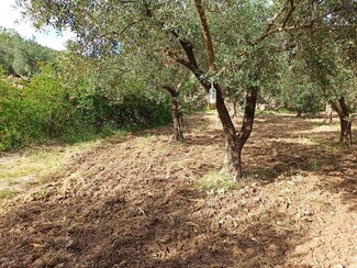 More details for Land for Sale