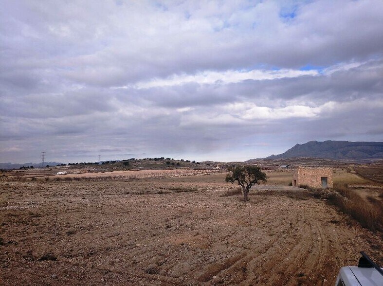Land in Jumilla, Murcia for sale - Aerial - Image 2 of 8