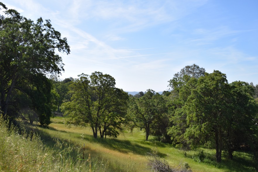 140 Hwy, Mariposa, CA for sale - Building Photo - Image 1 of 1