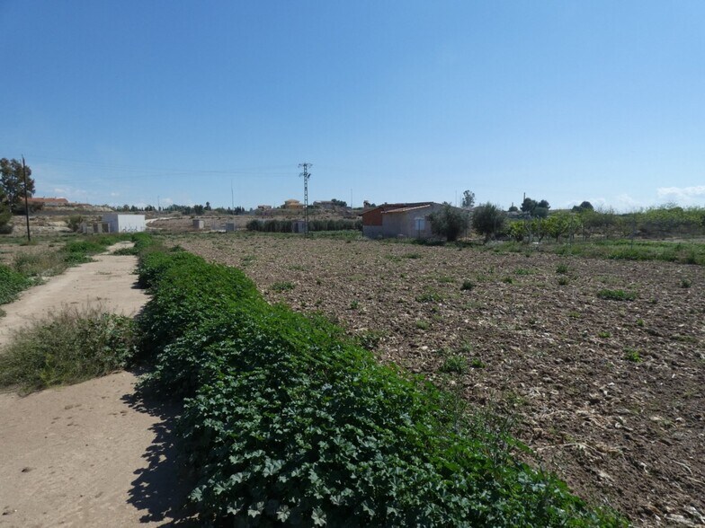 Land in Murcia, Murcia for sale - Site Plan - Image 1 of 6