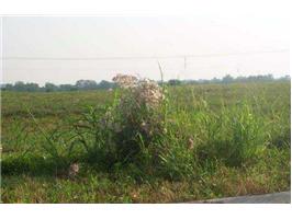 Boone Station Rd, Shelbyville, KY for sale - Primary Photo - Image 1 of 1