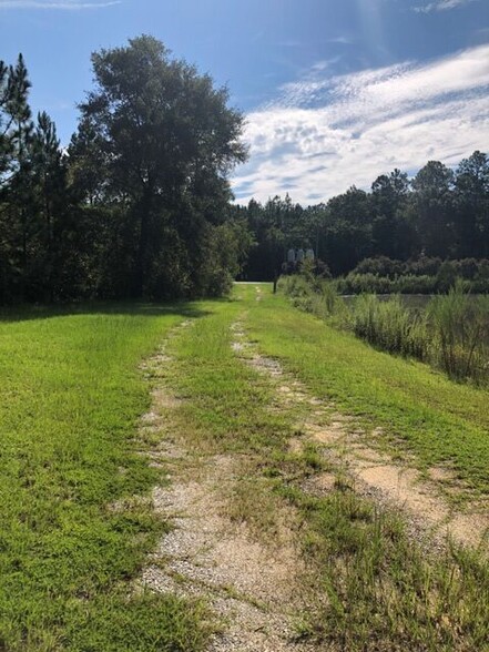 0 Highway 169, Claxton, GA for sale - Primary Photo - Image 1 of 1