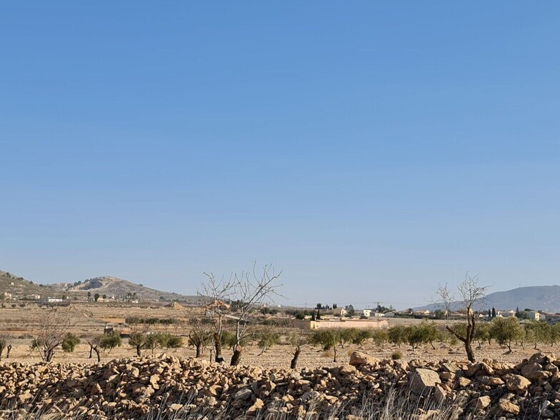 Land in Jumilla, Murcia for sale - Primary Photo - Image 3 of 9