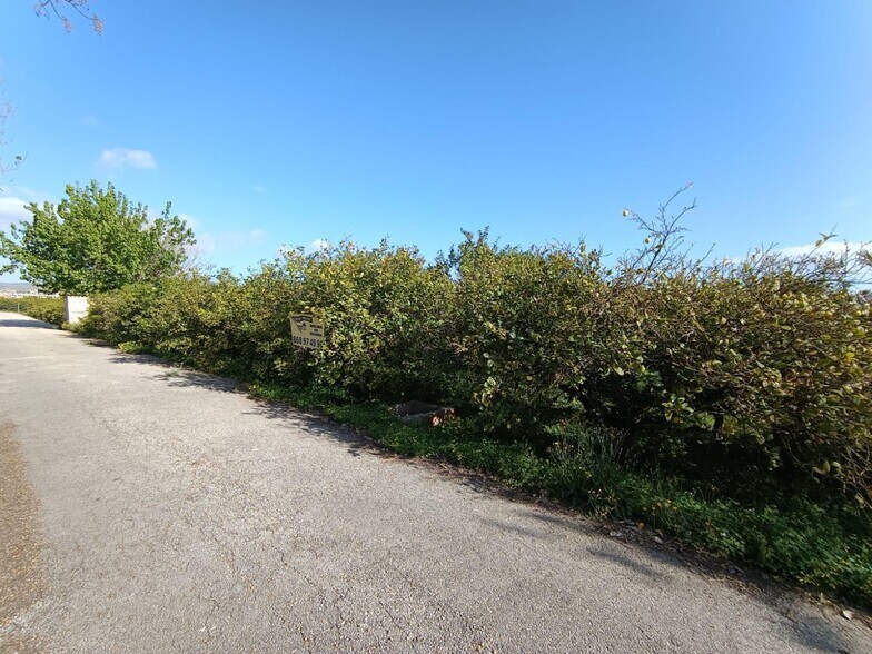 Land in Murcia, Murcia for sale - Building Photo - Image 3 of 7