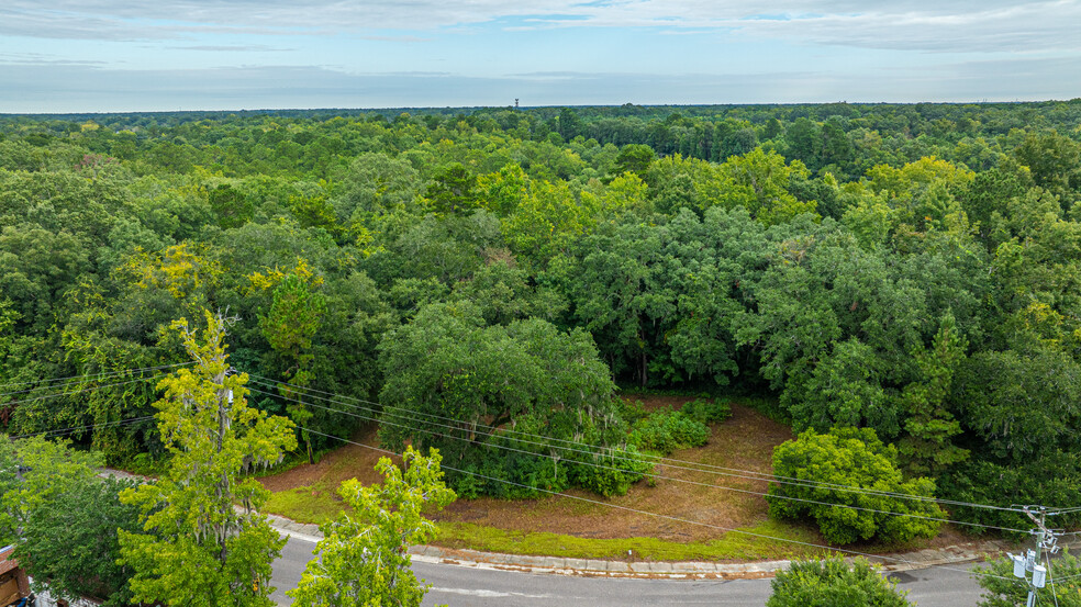 3509 Shelby Ray Ct, Charleston, SC for sale - Aerial - Image 2 of 14