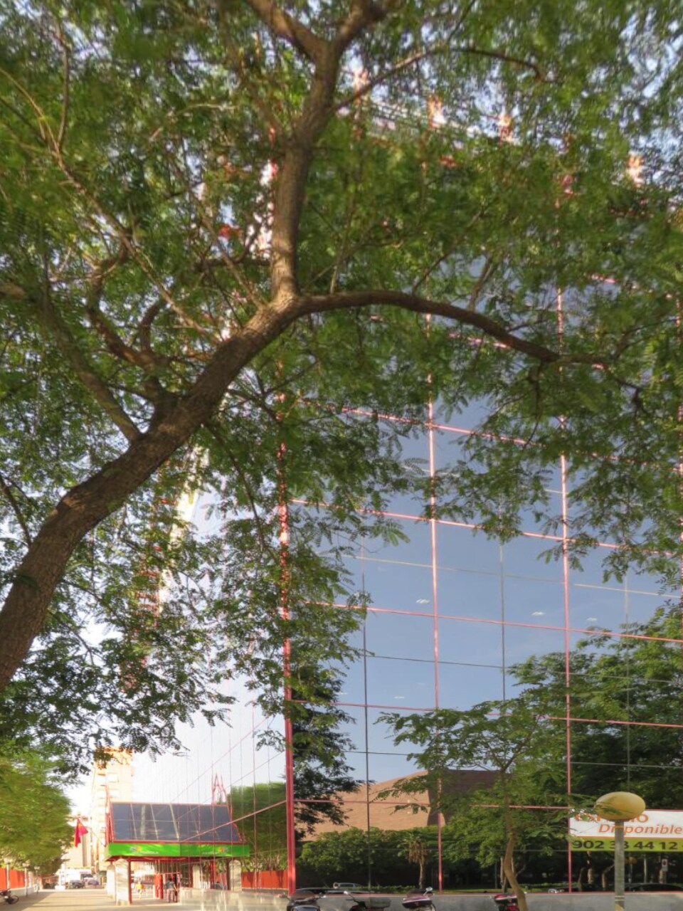 Calle de Ortega y Gasset, 9, Murcia, Murcia to rent Primary Photo- Image 1 of 3