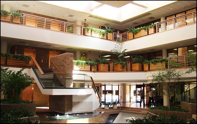 1839 S Alma School Rd, Mesa, AZ to rent - Interior Photo - Image 2 of 7