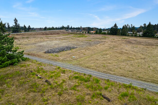 More details for 5545 183rd SW ave, Rochester, WA - Land for Sale