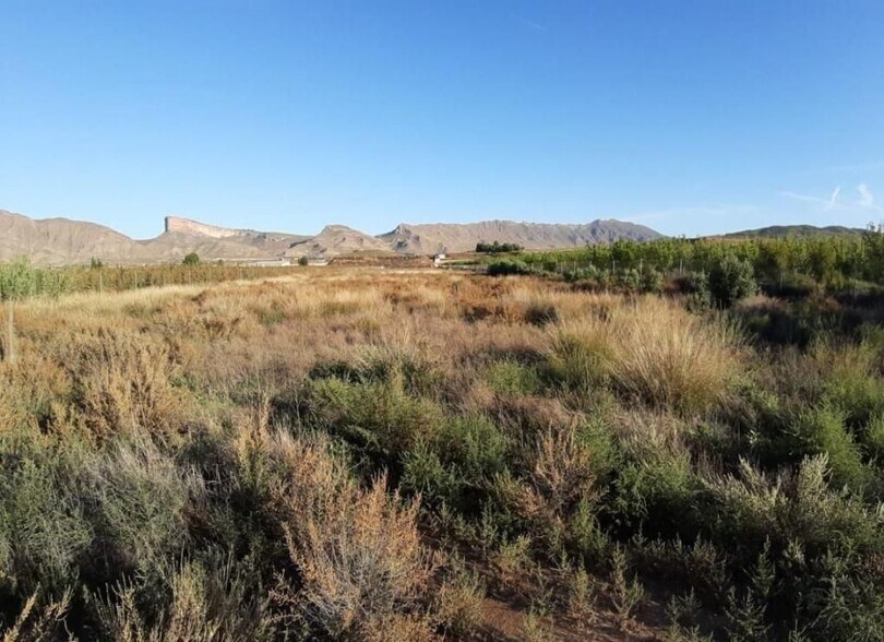 Jimena la, 113, Jumilla, Murcia for sale - Aerial - Image 3 of 4