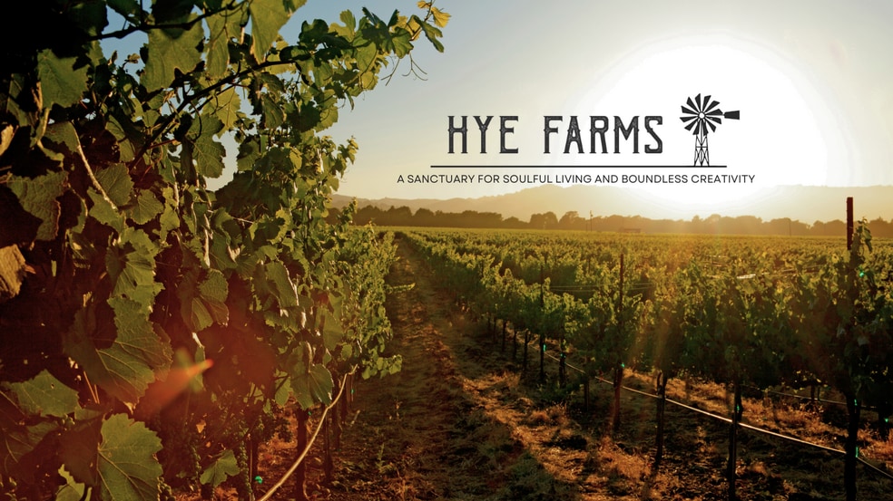 9695 US-290 Hwy, Hye, TX for sale - Other - Image 2 of 44