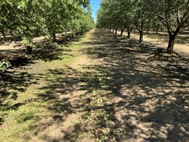 Jacobs Corner Almonds - Commercial Property