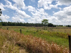 31300 Blanton Rd, Dade City, FL for sale Building Photo- Image 1 of 7