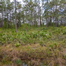 7745 US 1, Bunnell, FL for sale Primary Photo- Image 1 of 1