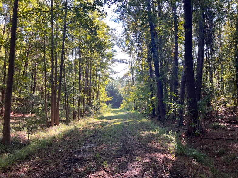 TBD Hwy 701 S, Georgetown, SC for sale - Building Photo - Image 2 of 7