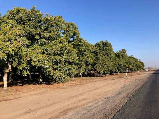 Road 208, Porterville, CA for sale - Primary Photo - Image 1 of 1