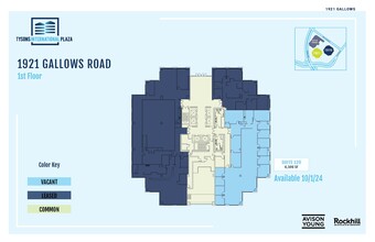 1919-1921 Gallows Rd, Vienna, VA for rent Floor Plan- Image 1 of 1