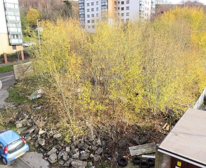 Dodge Holme Drive, Halifax for sale - Other - Image 3 of 3