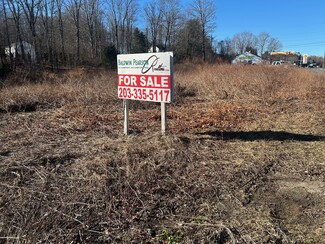 More details for 288 S Main St, Newtown, CT - Land for Sale