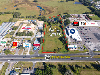 More details for 12953 US 301, Dade City, FL - Land for Sale