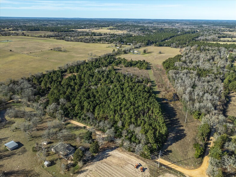 NW Corner CR 1890 & CR 1895, Grapeland, TX for sale - Building Photo - Image 2 of 37