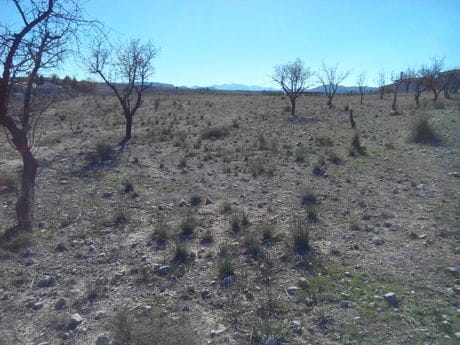 Land in Calasparra, Murcia for sale - Building Photo - Image 2 of 4