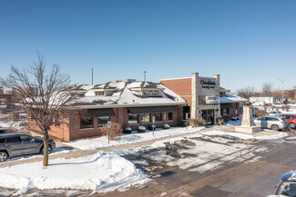 More details for 105 Remington Blvd, Bolingbrook, IL - Retail for Rent