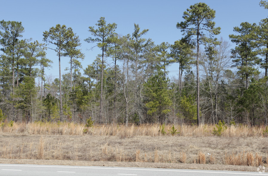 Hwy 555 & Farrow Rd, Blythewood, SC for sale - Building Photo - Image 2 of 3