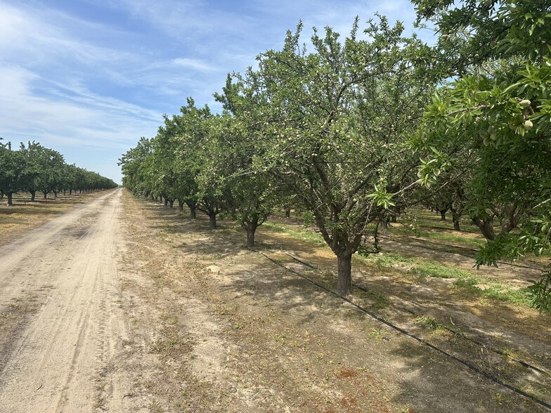 16027 S. Marks Avenue, Caruthers, CA for sale - Building Photo - Image 2 of 13