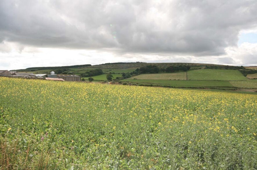 Parkhouse, Maud for sale - Primary Photo - Image 1 of 1