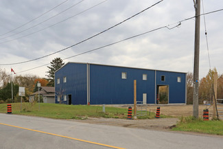 More details for 23 Princess St, Mount Albert, ON - Industrial for Rent