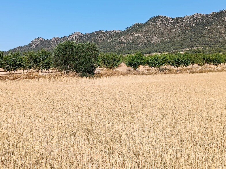 Land in Yecla, Murcia for sale - Aerial - Image 1 of 3