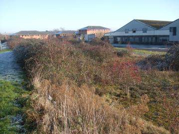 Coity Cres, Bridgend for rent - Building Photo - Image 3 of 5