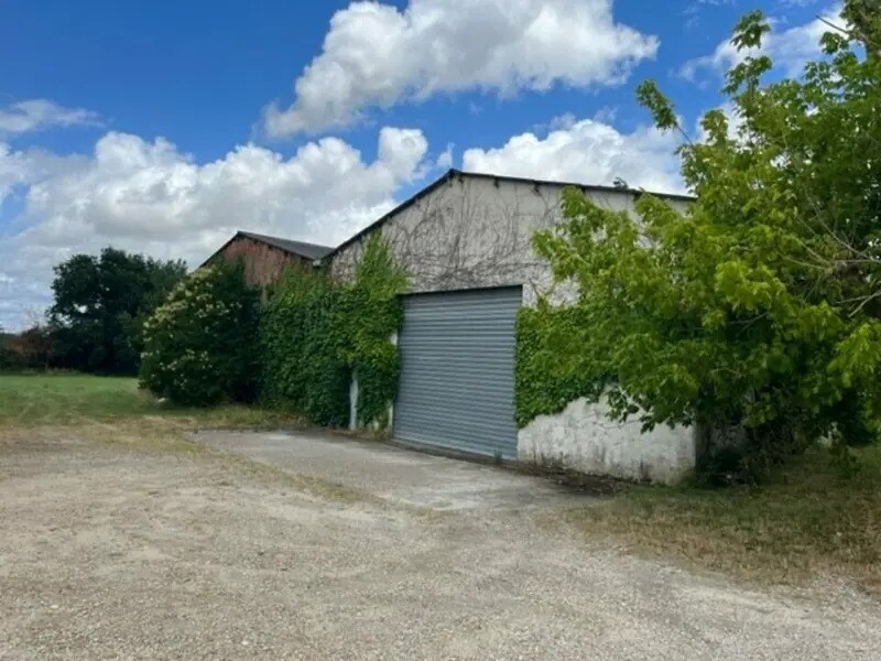 Vente Local d'activités 1 100 m² - Photo 1