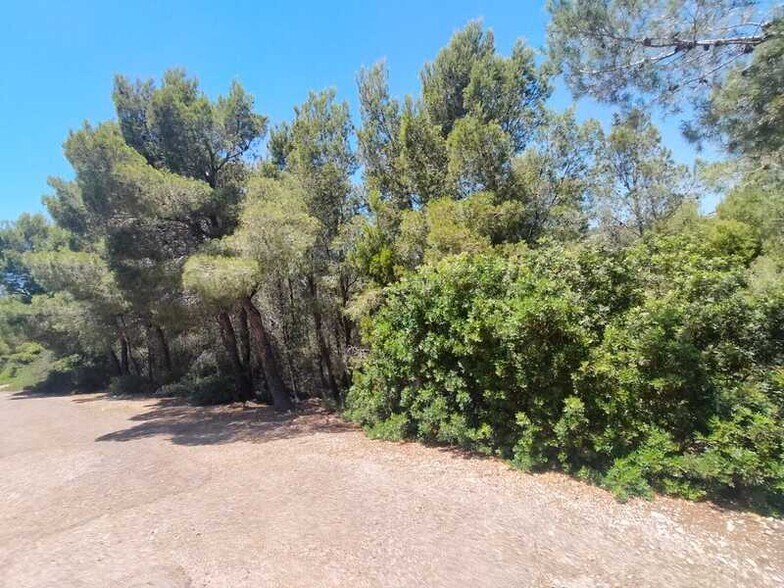 el Pinar, Alcalà de Xivert, Castellón for sale - Primary Photo - Image 2 of 9