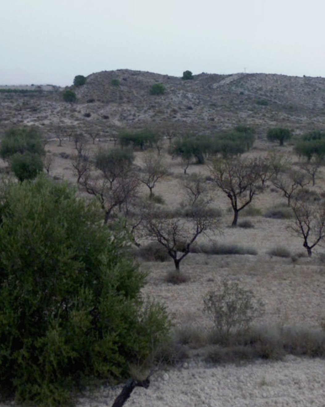 Land in Molina de Segura, Murcia for sale Building Photo- Image 1 of 3