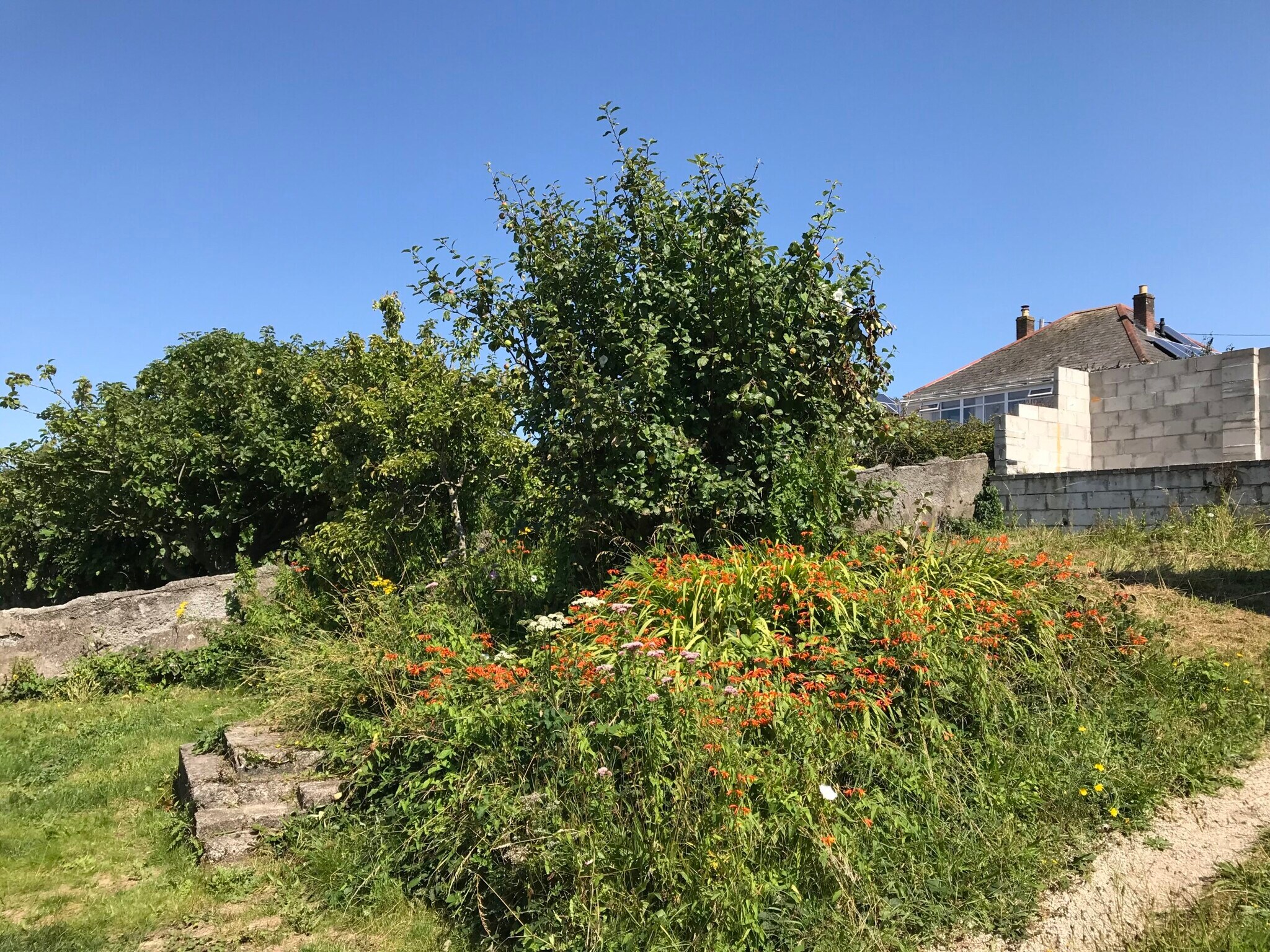 30 Prospect Pl, Hayle for sale Primary Photo- Image 1 of 1