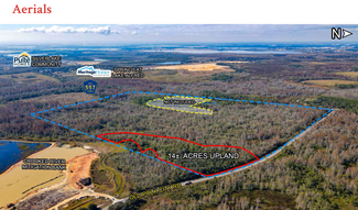 More details for 5027 State Road 557, Lake Alfred, FL - Land for Sale