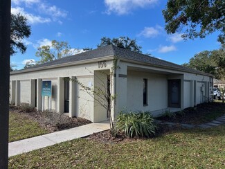 More details for 156 Whitaker Rd, Lutz, FL - Office for Sale