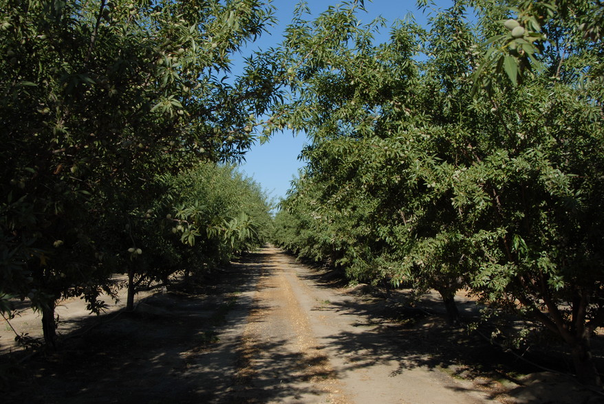 Manning Ave, San Joaquin, CA for sale - Other - Image 1 of 1