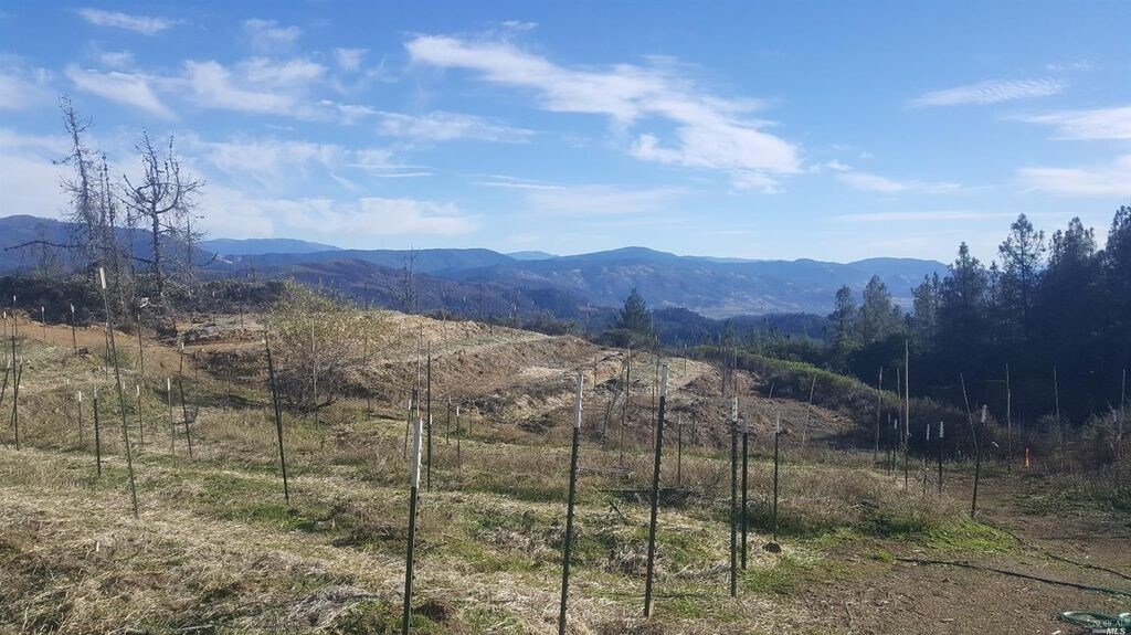 18759 Scenic Dr, Redwood Valley, CA for sale Other- Image 1 of 1