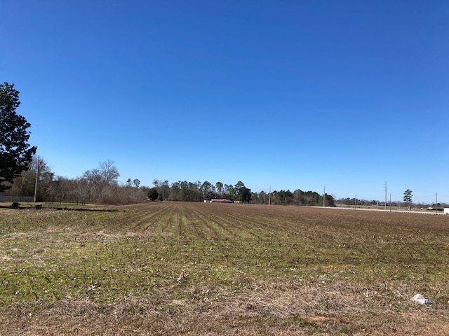 23000 Block US Hwy 31, Flomaton, AL for sale - Primary Photo - Image 1 of 1