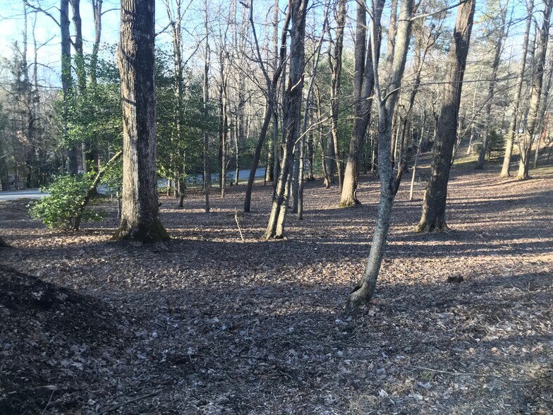 367 Alta, Laurel Park, NC 28739 UK