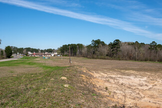 More details for U. S. Highway 69 S, Woodville, TX - Land for Sale