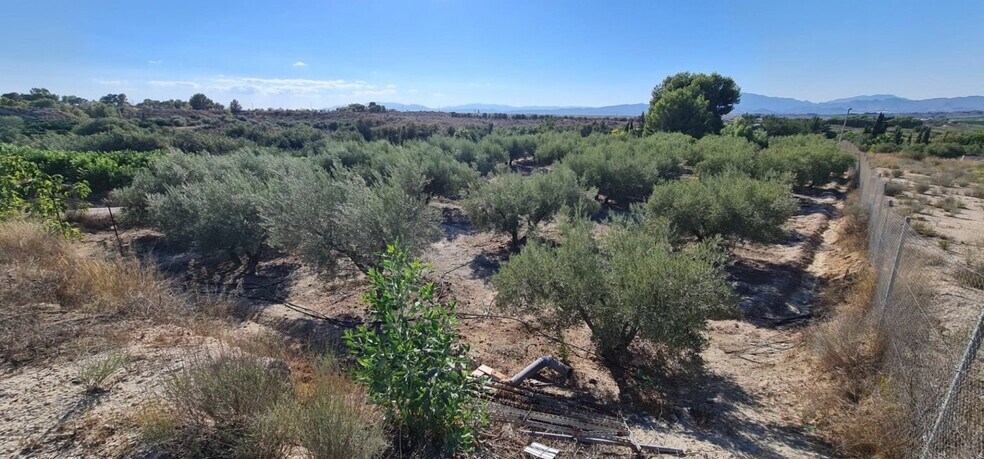Land in Molina de Segura, Murcia for sale - Building Photo - Image 2 of 2