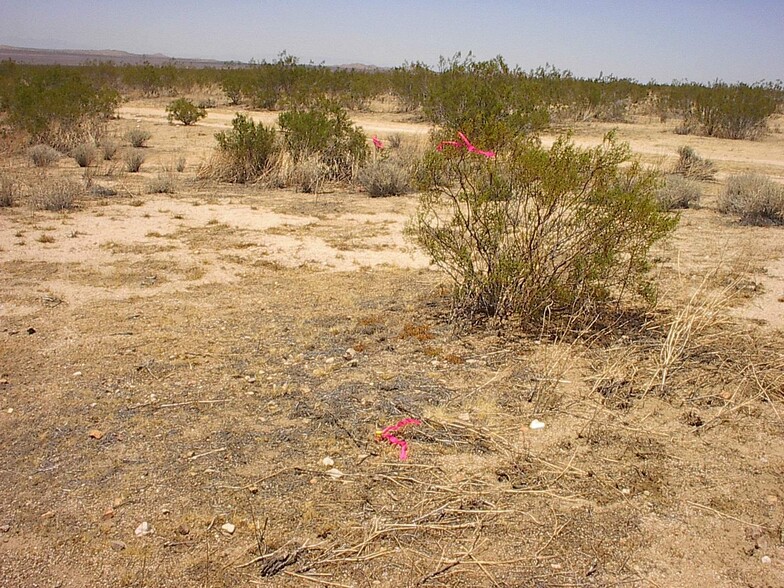 Cherry Rd, El Mirage, CA for rent - Building Photo - Image 2 of 45