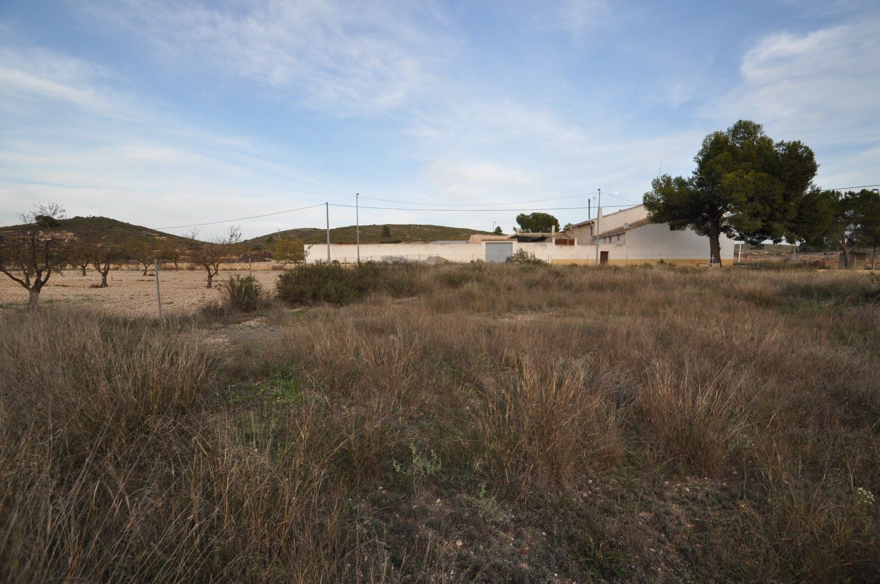 Land in Abanilla, Murcia for sale Primary Photo- Image 1 of 8