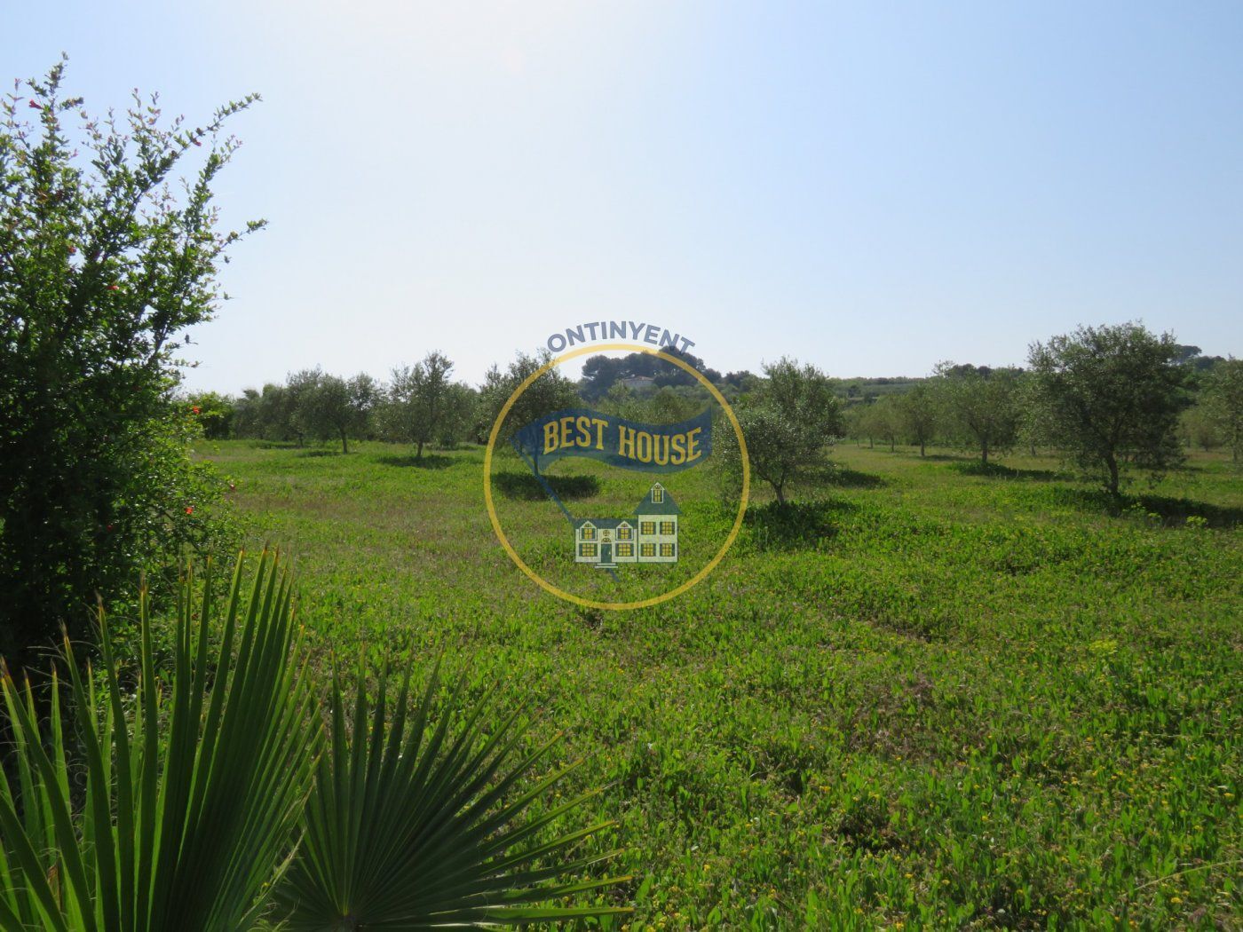 Land in Atzeneta d'Albaida, Valencia for sale Primary Photo- Image 1 of 12
