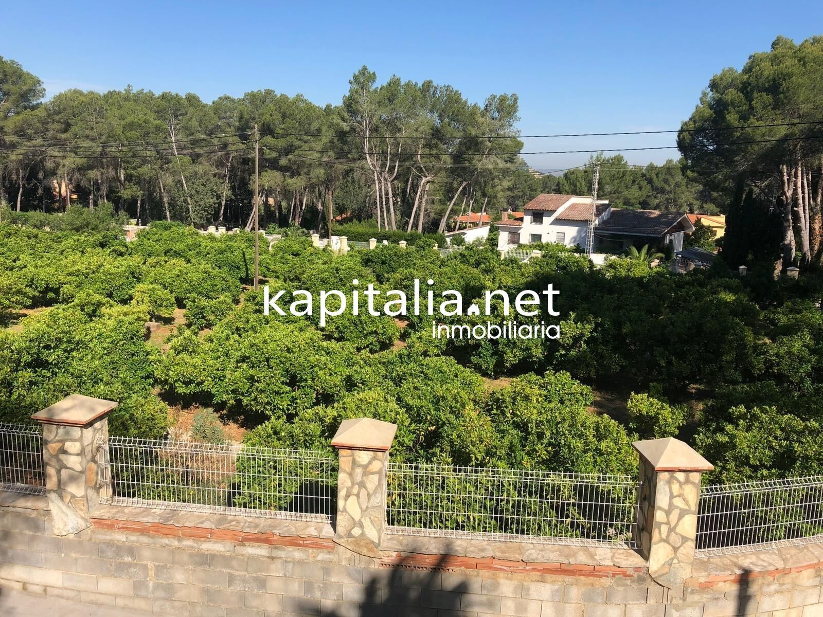 Land in El Genovés, Valencia for sale Primary Photo- Image 1 of 21